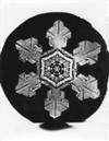 BENTLEY, WILSON A. (1865-1931) Group of 4 stunning studies of snow cyrstals.